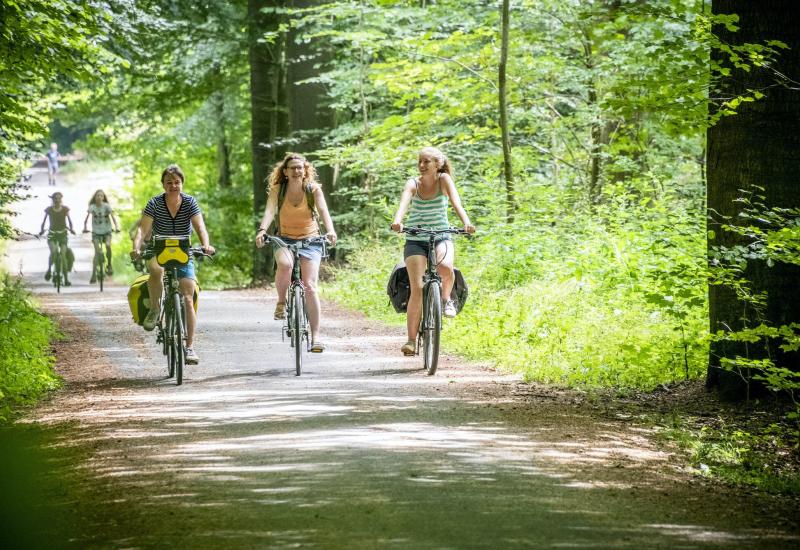 Drie fietsers fietsen door het Zoniënwoud