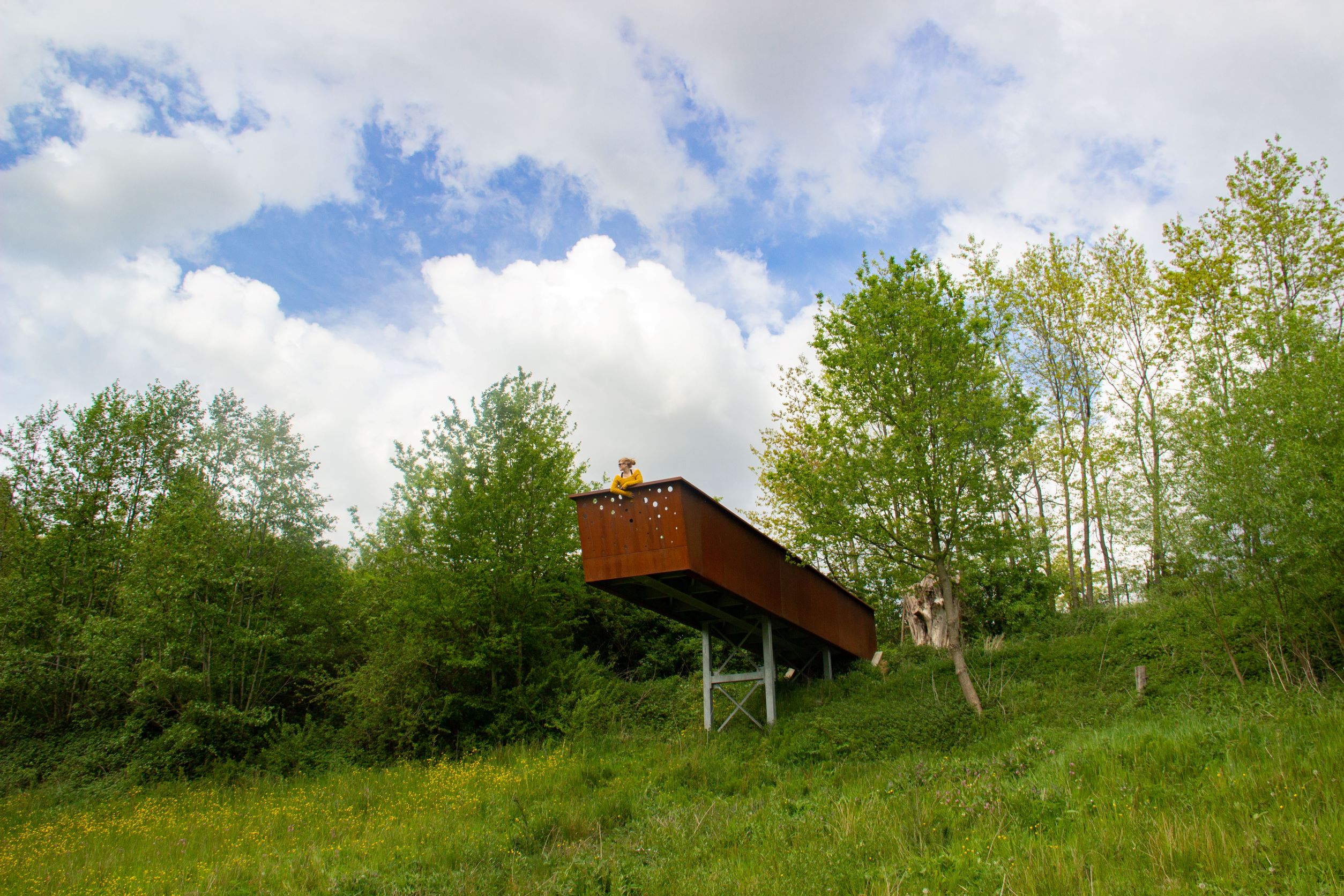 Uitkijkplatform tussen de bomen