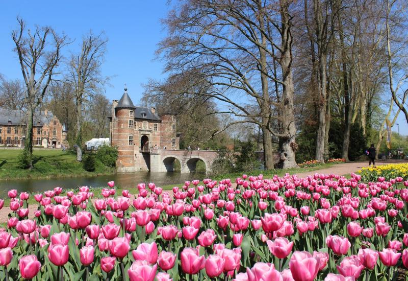 Kasteel van Groot-Bijgaarden met roze tulpen op de voorgrond