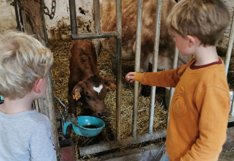 kinderen bij geitje