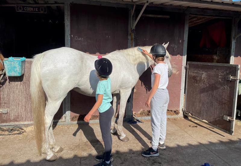 kinderen die pony kammen