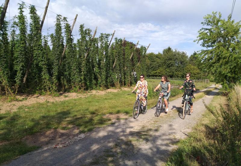 fietsers in hopveld