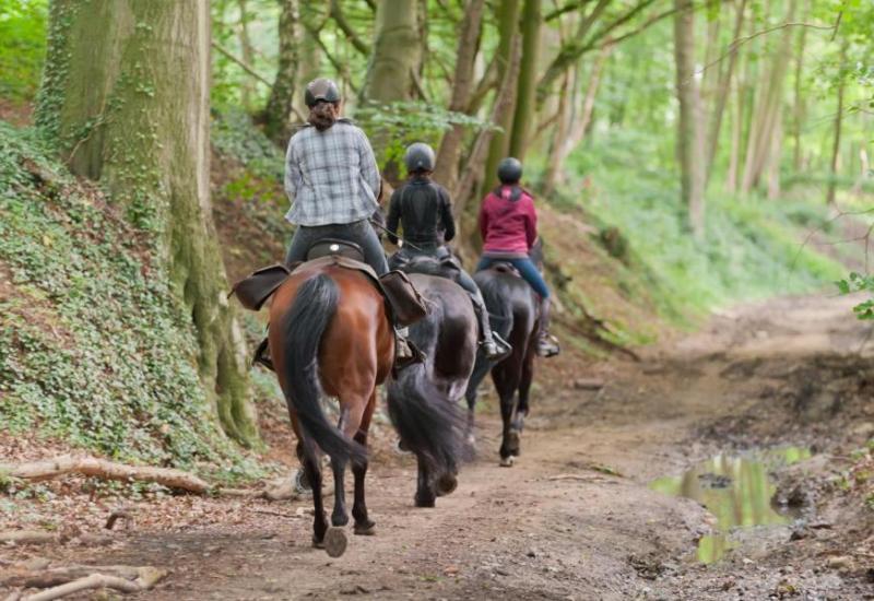 3 ruiters in het bos