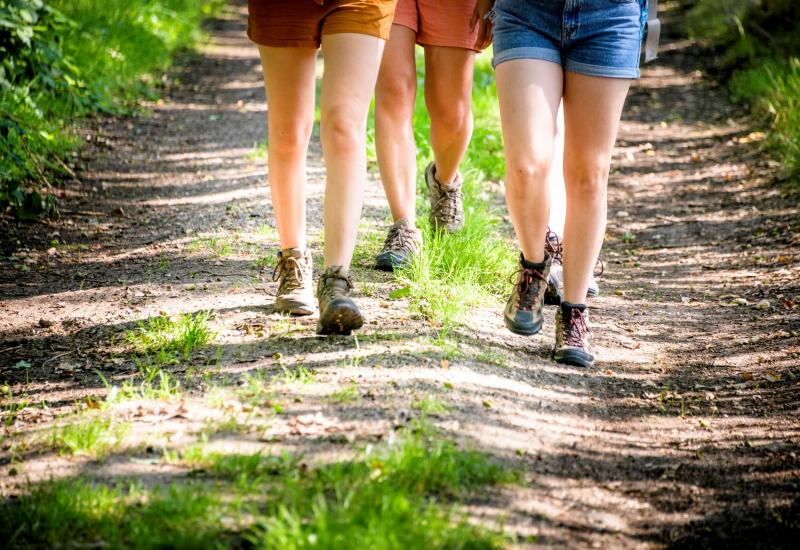 wandelschoenen