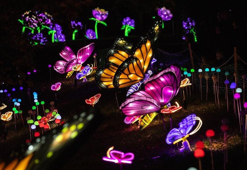 vlinders van Lightopia