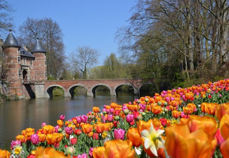 Kasteel van Groot-Bijgaarden 