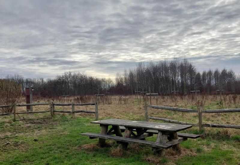 picknickzone aan het Herdebeekbos