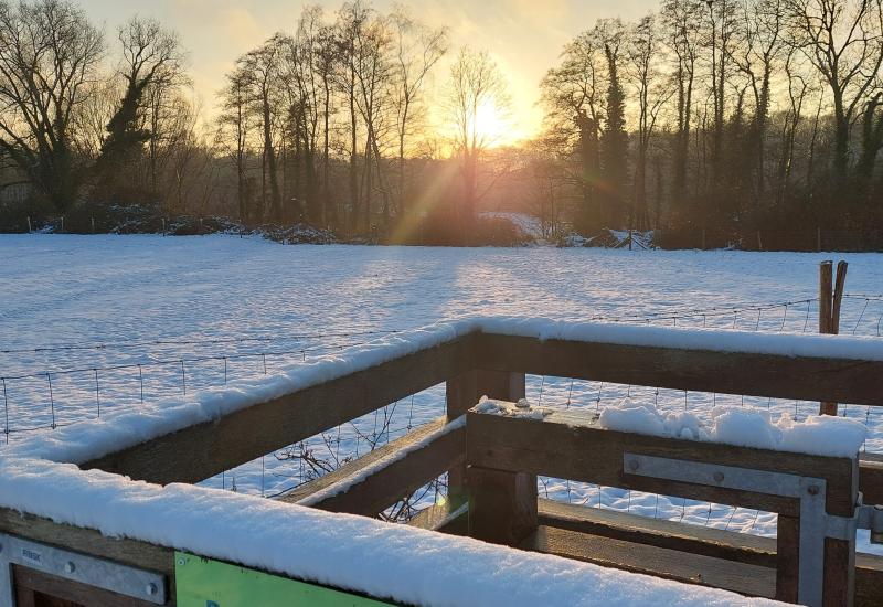 Winter in de Wolfsputten