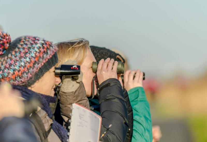 Cursus leren kijken naar vogels © Erwin Derous