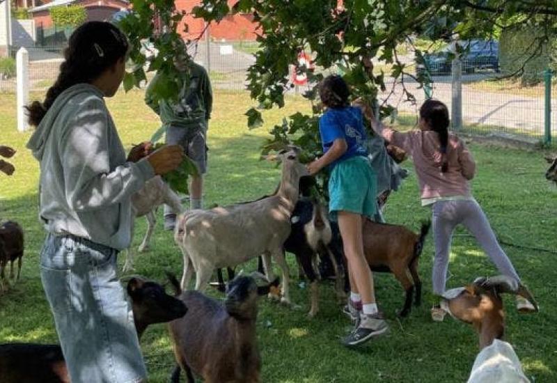 Boerderijkamp op het Neerhof (7-10/04/'26) © Het Neerhof vzw