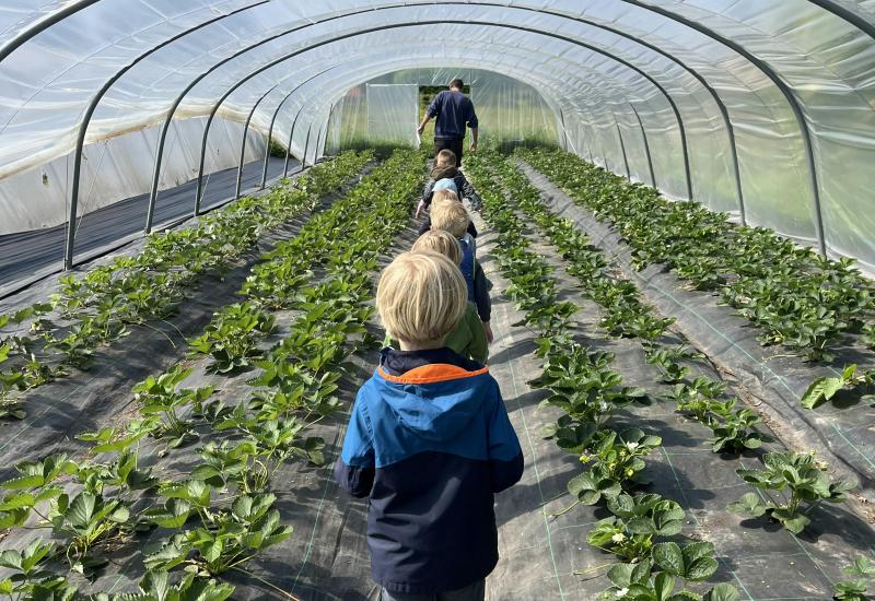 Boerderijkamp op het Neerhof © HetNeerhof