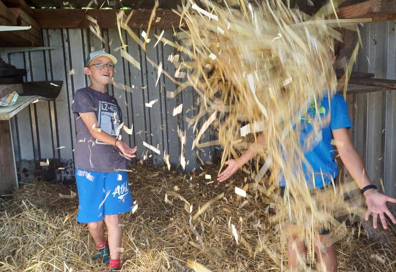Kleinschalig buitenkamp op het ritme van de natuur en de kinderen. © Marieke Verraes
