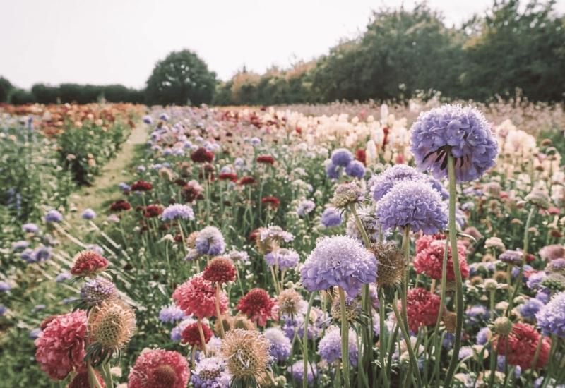 Lentebloemstuk © Lilly carreras via Getty Images