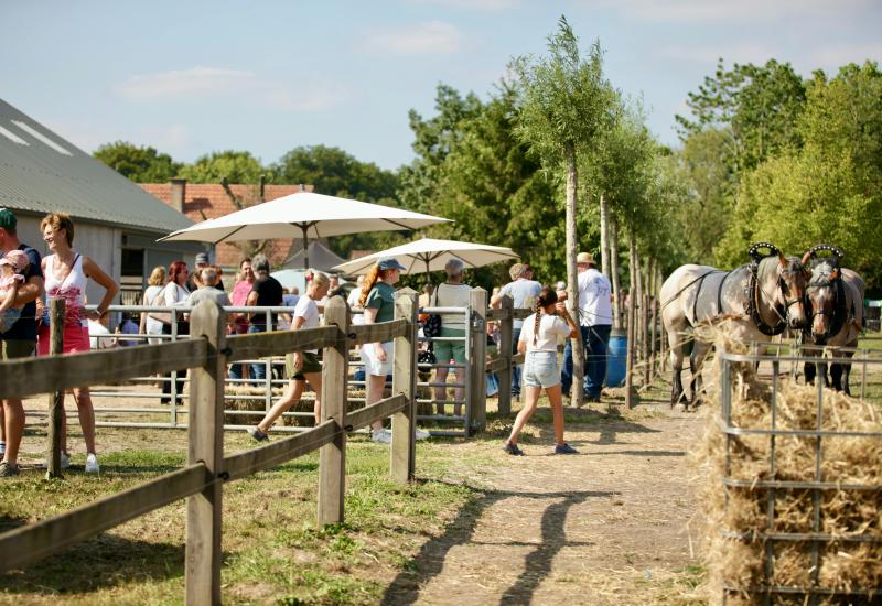 Open stoeterijdag © Ingrid Van Valvekens