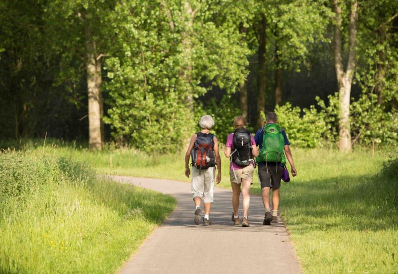Wandelen langs groene wegen in Bodegem © okra