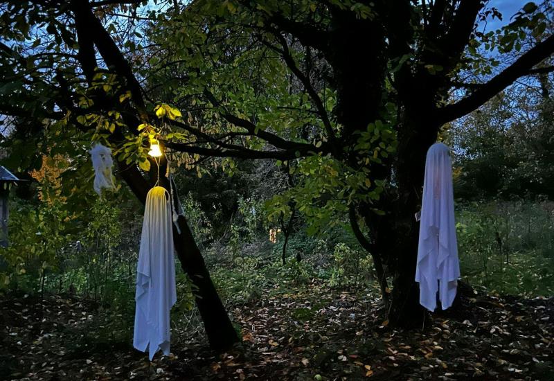 Halloween op de Thaborberg © Dirk Timmermans Halloween op de Thaborberg © Dirk Timmermans