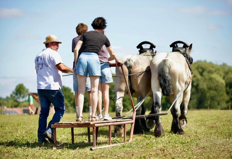 Open stoeterijdag © Ingrid Van Valvekens