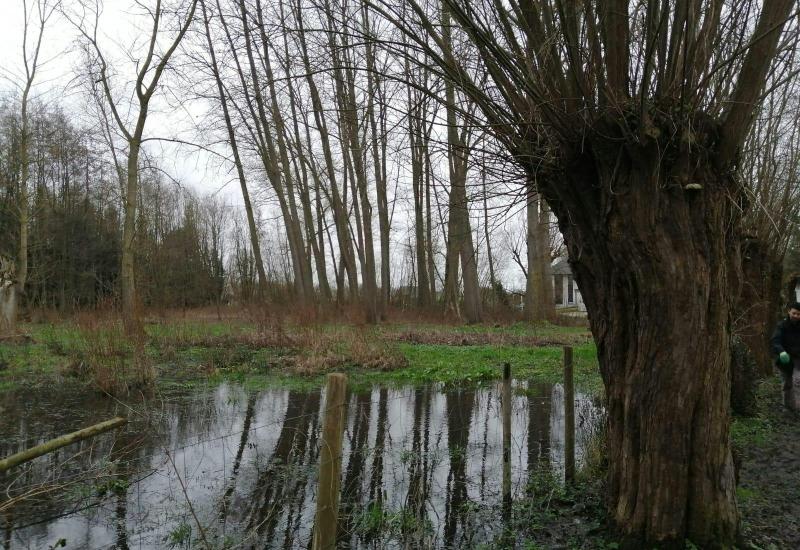 Beheerwerken Zibbeek/Begijnenborrebos © Eric De Jonge
