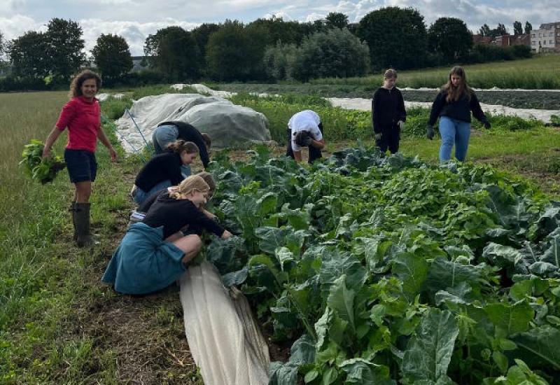 Avontuur op de boerderij © HetNeerhof