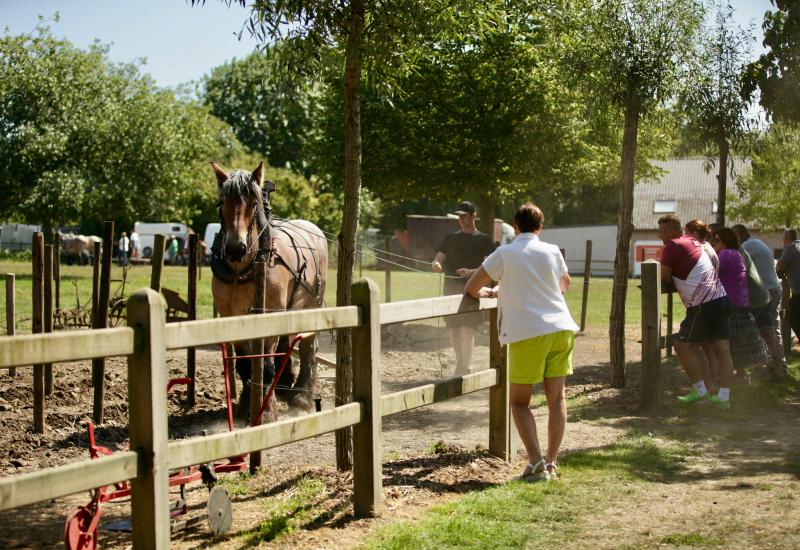 Open stoeterijdag © Ingrid Van Valvekens