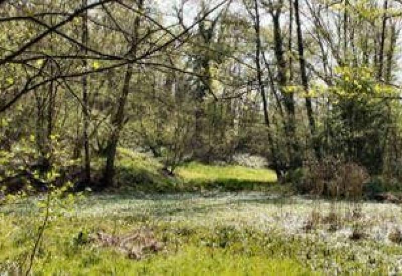 Herfstwandeling in de Wolfsputten © gemeente dilbeek