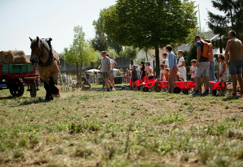 Open stoeterijdag © Ingrid Van Valvekens