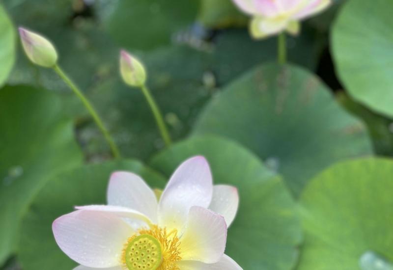 Veerkracht opbouwen © Muriel Vastenaekel