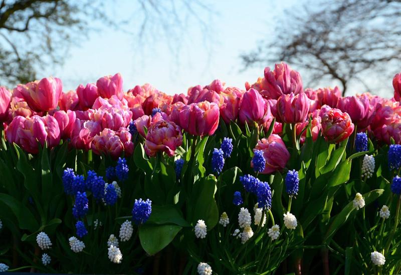 Paasfeest © 49pauly