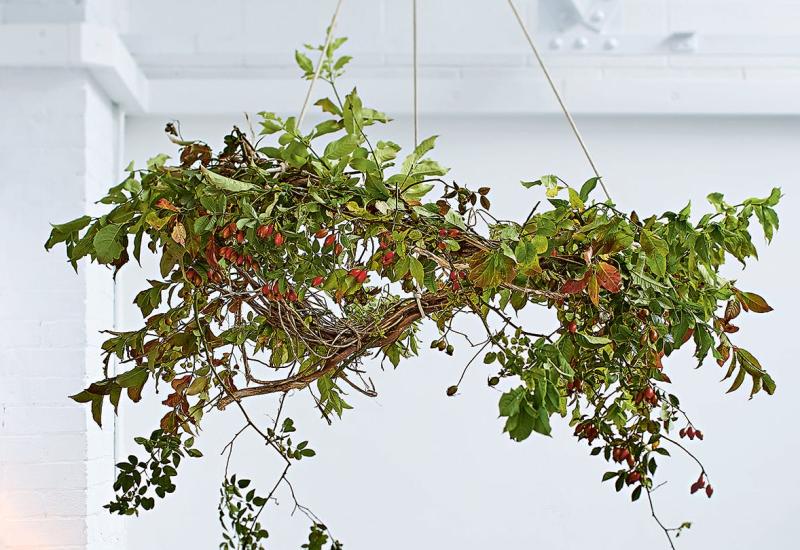 Bloemencirkels het jaar rond © Ferm vzw