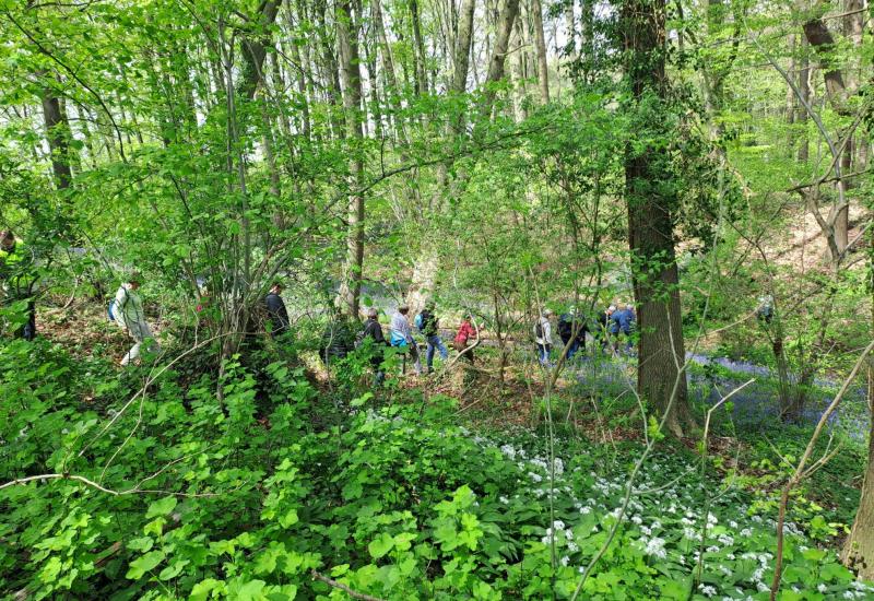 Beheerwerken Eigenveldbos © Eric De Jonge Beheerwerken Eigenveldbos © Eric De Jonge