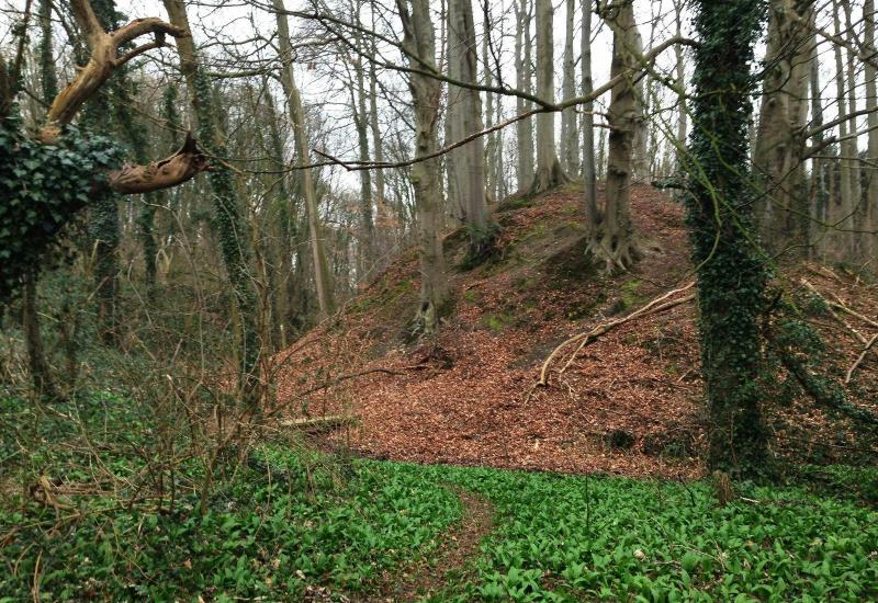 Halloweentocht op de Thaborberg © Natuurpunt