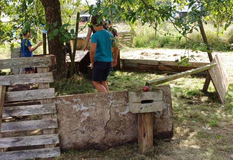 Kleinschalig buitenkamp op het ritme van de natuur en de kinderen. © Marieke Verraes