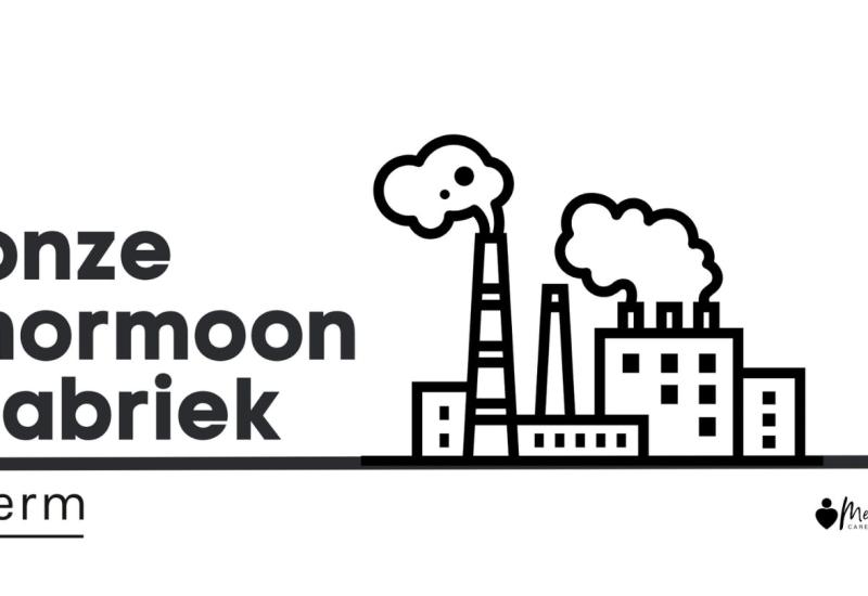 Onze Hormoonfabriek, de meest waardevolle productielijn in ons welzijn! © Sara Moens