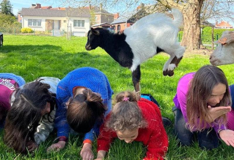 Boerderijkamp op het Neerhof (24-28/08/'26) © Het Neerhof vzw