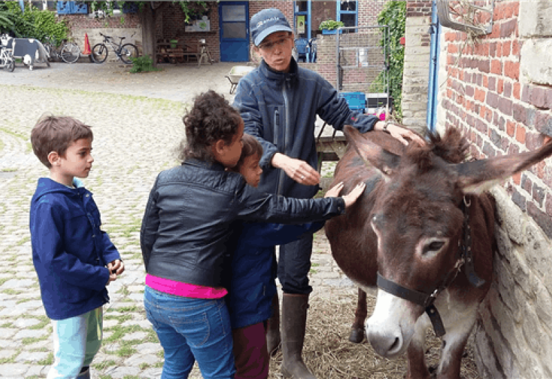 Vk visite I het leven op de boerderij © Vk visite I het leven op de boerderij