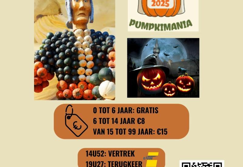 Halloween Buurtuitstap Pumpkimania © buurtwerking negenmanneke-zuun