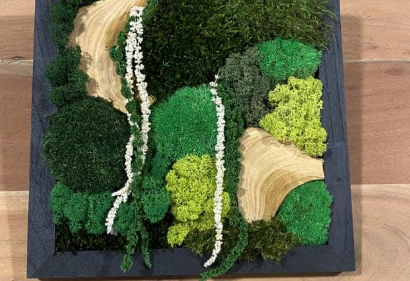 Workshop 'Maak je eigen moswand' © het vilthuis